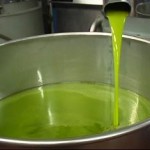 frisches, grünes Olivenöl Extra Vergine