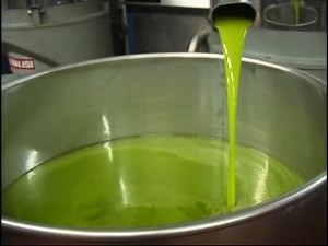 frisches, grünes Olivenöl Extra Vergine